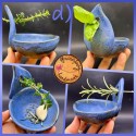 NEW Herb Stripper Bowl AND garlic grater in one NEW colors