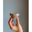Small bowl, dish, small bowl
