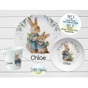 Peter Rabbit Personalized Plate Set, Cup, Bowl, Melamine Plate Set, Christmas Gift, Easter Gift, Birthday Gift, First Birthday, Baby Shower
Seller details