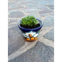 Flower Planter, Succulent Planter, Planter with Saucer, Mexican Talavera Pottery, Ceramic Art from Mexico, Folk Art Indoor Planter
Seller details