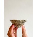 Small bowl, dish, small bowl