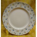 Federal Shape Syracuse China. Pattern: Suzanne. 6 Piece Place settings and individual pieces.