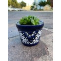 Flower Planter, Succulent Planter, Planter with Saucer, Mexican Talavera Pottery, Ceramic Art from Mexico, Folk Art Indoor Planter
Seller details