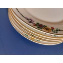 5 vintage Limoges plates - porcelain side plates marked LIMOGES FRANCE Joseph Soret Le Havre RAYNAUD & Cie France with gold rim and flowers
Seller details