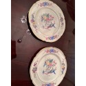 2 Dinner Plates Castleton China Phoenix. Excellent Condition!