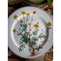 Villeroy & Boch Botanica, plates, dinner plates, cake plates, old series, collector's plates, collector's tableware in country house style