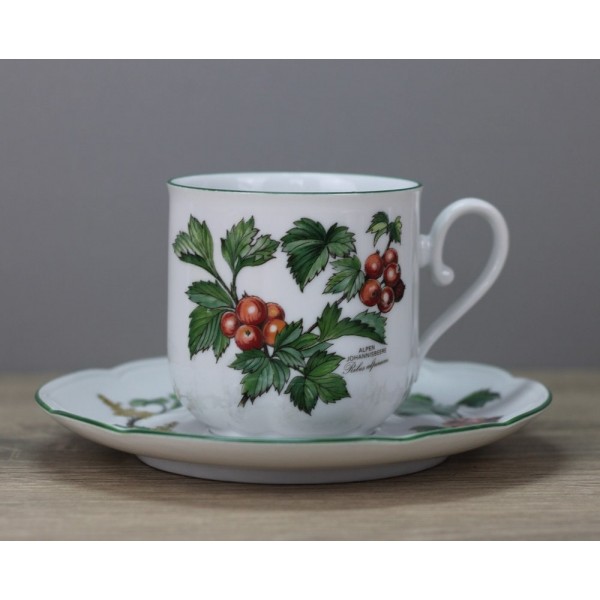 Seltmann Weiden Waldbeere Kaffeetasse mit Untertasse / Unterteller Tasse
Seller details