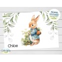 Peter Rabbit Personalized Plate Set, Cup, Bowl, Melamine Plate Set, Christmas Gift, Easter Gift, Birthday Gift, First Birthday, Baby Shower
Seller details