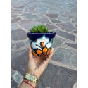 Flower Planter, Succulent Planter, Planter with Saucer, Mexican Talavera Pottery, Ceramic Art from Mexico, Folk Art Indoor Planter
Seller details