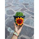 Flower Planter, Succulent Planter, Planter with Saucer, Mexican Talavera Pottery, Ceramic Art from Mexico, Folk Art Indoor Planter
Seller details