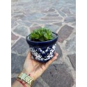 Flower Planter, Succulent Planter, Planter with Saucer, Mexican Talavera Pottery, Ceramic Art from Mexico, Folk Art Indoor Planter
Seller details