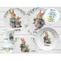 Peter Rabbit Personalized Plate Set, Cup, Bowl, Melamine Plate Set, Christmas Gift, Easter Gift, Birthday Gift, First Birthday, Baby Shower
Seller details