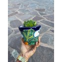 Flower Planter, Succulent Planter, Planter with Saucer, Mexican Talavera Pottery, Ceramic Art from Mexico, Folk Art Indoor Planter
Seller details