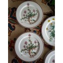 Villeroy & Boch Botanica, plates, dinner plates, cake plates, old series, collector's plates, collector's tableware in country house style