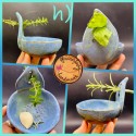 NEW Herb Stripper Bowl AND garlic grater in one NEW colors