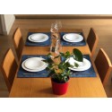 Set de table en coton japonais, doublé
