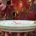 Pink peony plate, handmade dinnerware, personalized dish, ceramic plate, rustic dinnerware, handmade pottery, decorative plate
Seller details