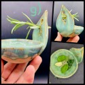 NEW Herb Stripper Bowl AND garlic grater in one NEW colors