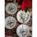 Villeroy & Boch Botanica, plates, dinner plates, cake plates, old series, collector's plates, collector's tableware in country house style