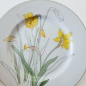 Block Spal Daffodil Dinnerware, 1983 Watercolors by Mary Lou Goertzen, Made in Portugal, Dinner Party, Spring Garden Dishes, Wedding Gift