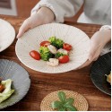 5 Piece Handmade Japanese Minoyaki Striped Pasta Plates | Black & White Plates with Wabi Sabi Modern Tokusa - Chic Elegant Dinnerware Set
Seller details