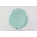 Poole - Seagull & Ice Green - 9 1/8" Luncheon Plate