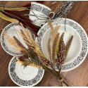 Vintage 16 Piece Set  “Four Crown” Japan Monte Carlo Pattern Chinaware
